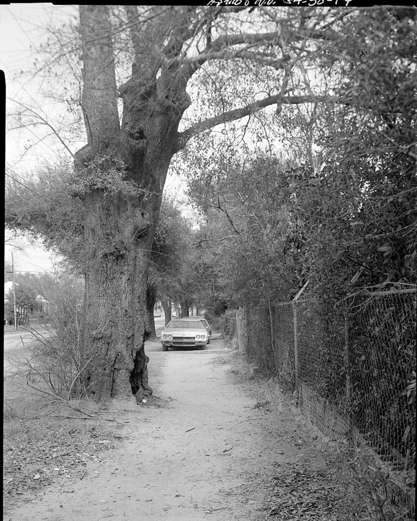 Historic Photo : South Albany Historic District, Bounded by South Jefferson Street, Highland Avenue & Whitney Avenue, Albany, Dougherty County, GA 4 Photograph
