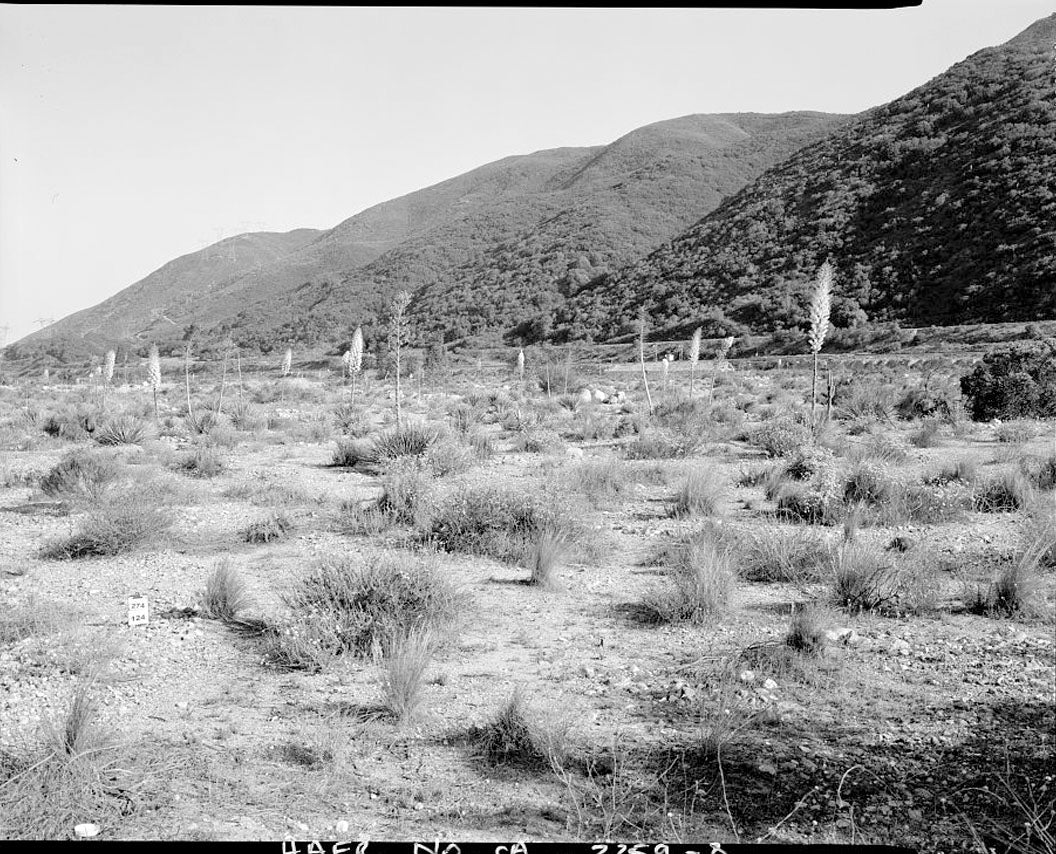 Historic Photo : Burlington Northern Santa Fe Railroad, Cajon Subdivision, Between Cajon Summit and Keenbrook, Devore, San Bernardino County, CA 1 Photograph