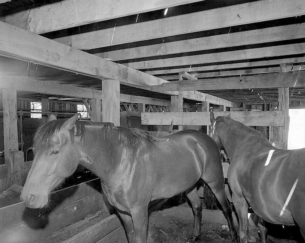 Historic Photo : Ritter Ranch, Barn, Old Dolores Highway, Dolores, Mon ...