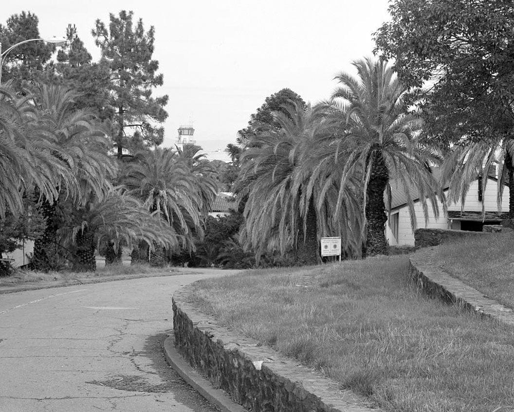 Historic Photo : Hamilton Field, East of Nave Drive, Novato, Marin County, CA 9 Photograph