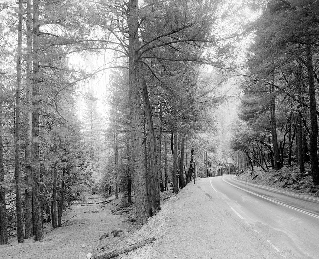 Historic Photo : Wawona Road, Between South Entrance & Yosemite Valley, Yosemite Village, Mariposa County, CA 8 Photograph