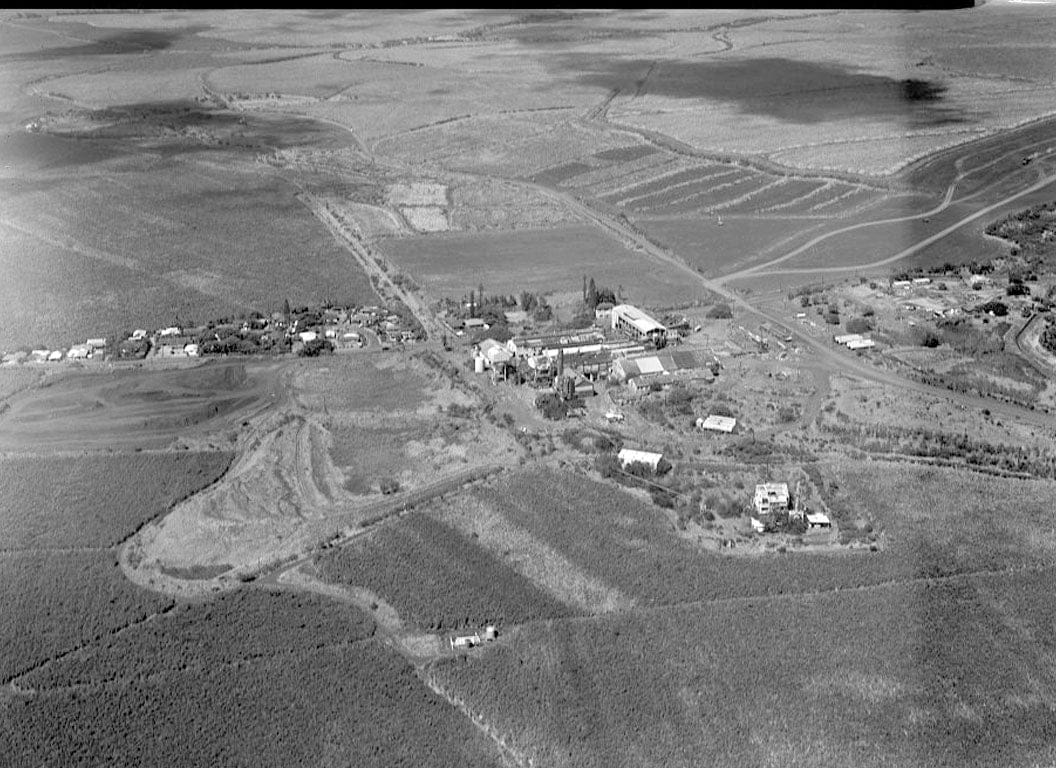 Historic Photo : Hana Belt Road, Between Haiku and Kaipahulu, Hana, Maui County, HI 40 Photograph