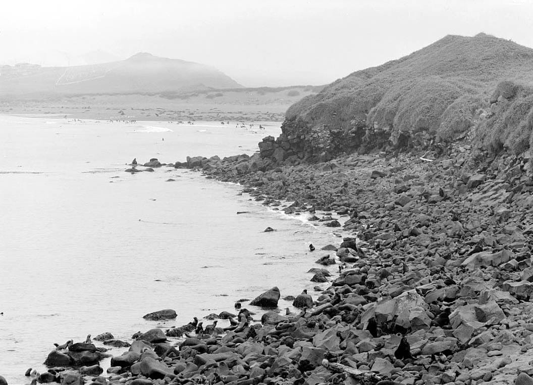 Historic Photo : Saint Paul Island, Saint Paul Island, Aleutians West Census Area, AK 2 Photograph