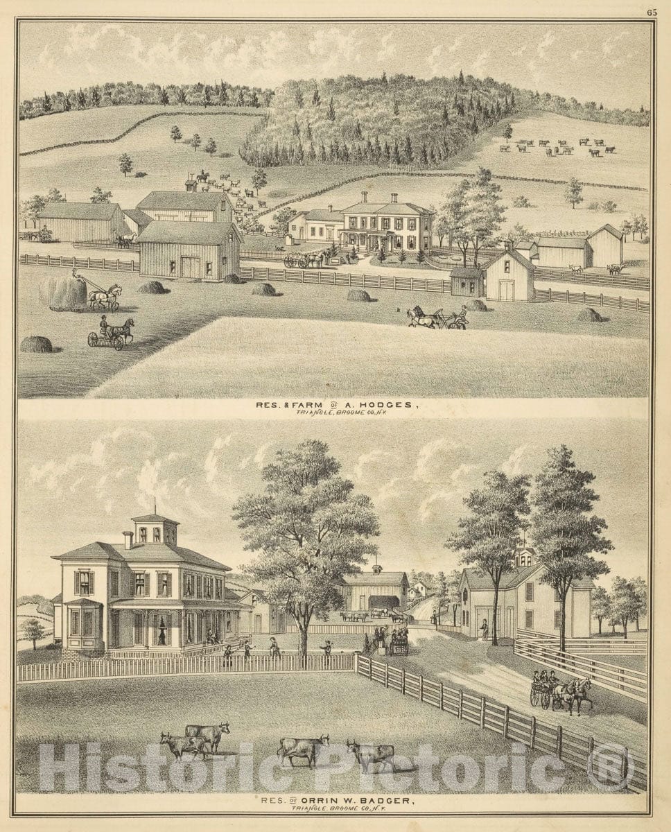 Art Print : 1876, Res. and Farm of A. Hodges, Triangle, Broome Co, N.Y; Res. of Orrin W. Badger, Triangle, Broome Co, N.Y. - Vintage Wall Art