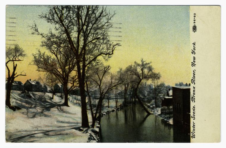 Art Print : Winter Scene, Bronx River, New York, 1910 - Vintage Wall Art