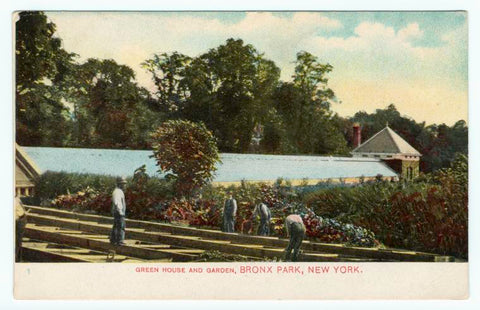 Art Print : Green House and Garden, Bronx Park, New York, 1909 - Vintage Wall Art