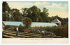 Art Print : Green House and Garden, Bronx Park, New York, 1909 - Vintage Wall Art