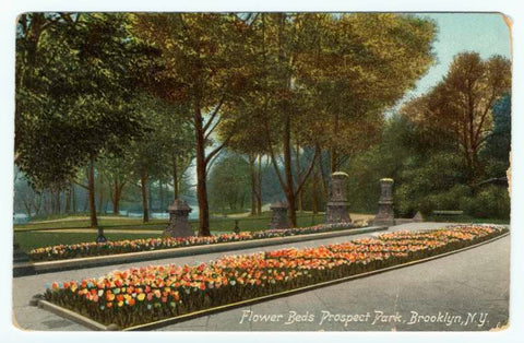 Art Print : Flower beds Prospect Park, Brooklyn, N.Y, 1911 - Vintage Wall Art