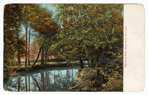 Art Print : The Bronx River, Bronx Park, New York, 1901 - Vintage Wall Art
