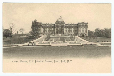 Art Print : Museum, N. Y. Botanical Gardens, Bronx Park, N. Y, 1901 - Vintage Wall Art