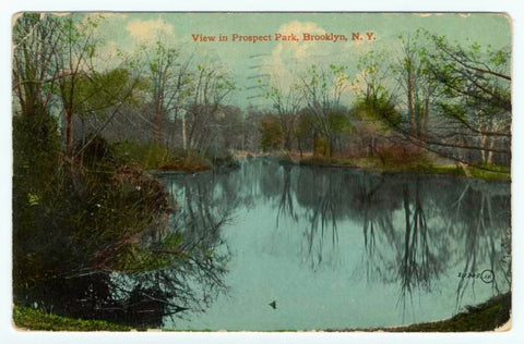 Art Print : View in Prospect Park, Brooklyn, N.Y, 1911 - Vintage Wall Art