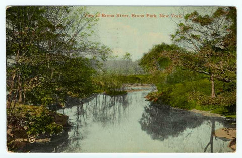 Art Print : View of Bronx River, Bronx Park, New York, 1910 - Vintage Wall Art