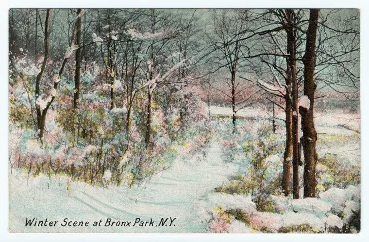 Art Print : Winter Scene at Bronx Park, N.Y, 1910 - Vintage Wall Art