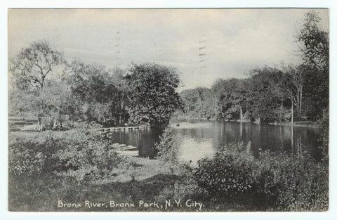 Art Print : Bronx River, Bronx Park, N.Y. City, 1908 - Vintage Wall Art