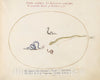 Art Print : Joris Hoefnagel, Animalia Qvadrvpedia et Reptilia (Terra): Plate LX, c.1578 - Vintage Wall Art
