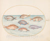 Art Print : Joris Hoefnagel, Animalia Aqvatilia et Cochiliata (Aqva): Plate XX, c.1578 - Vintage Wall Art