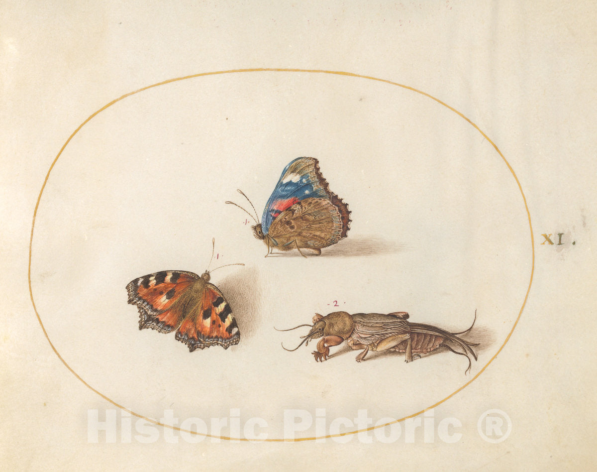 Art Print : Joris Hoefnagel, Animalia Rationalia et Insecta (Ignis): Plate XI, c.1578 - Vintage Wall Art