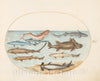 Art Print : Joris Hoefnagel, Animalia Aqvatilia et Cochiliata (Aqva): Plate X, c.1578 - Vintage Wall Art