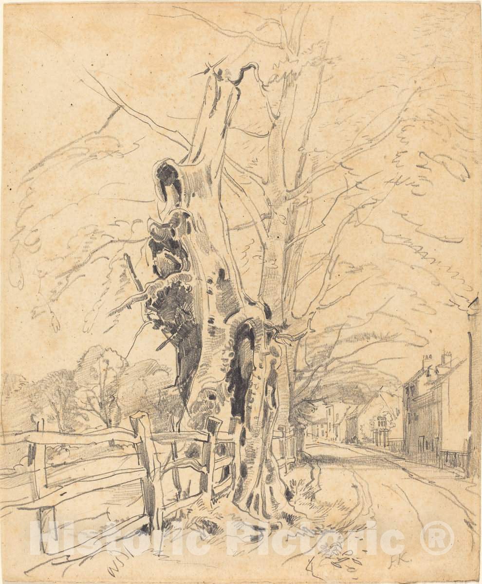 Art Print : John Frederick Kensett, Trees by a Rail Fence - Vintage Wall Art