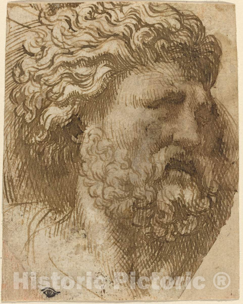 Art Print : Domenico Campagnola, Head of a Man - Vintage Wall Art
