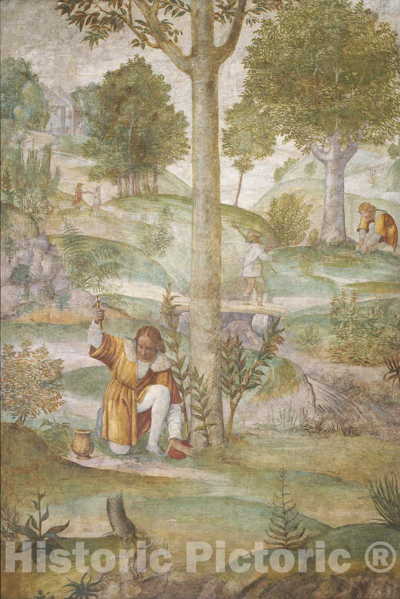 Art Print : Bernardino Luini, Cephalus Hiding The Jewels, c.1521 - Vintage Wall Art