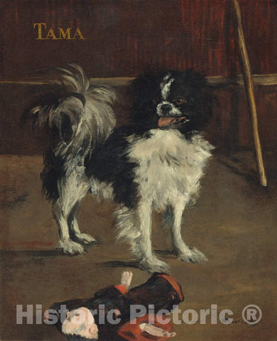 Art Print : Edouard Manet, Tama, The Japanese Dog, c. 1875 - Vintage Wall Art