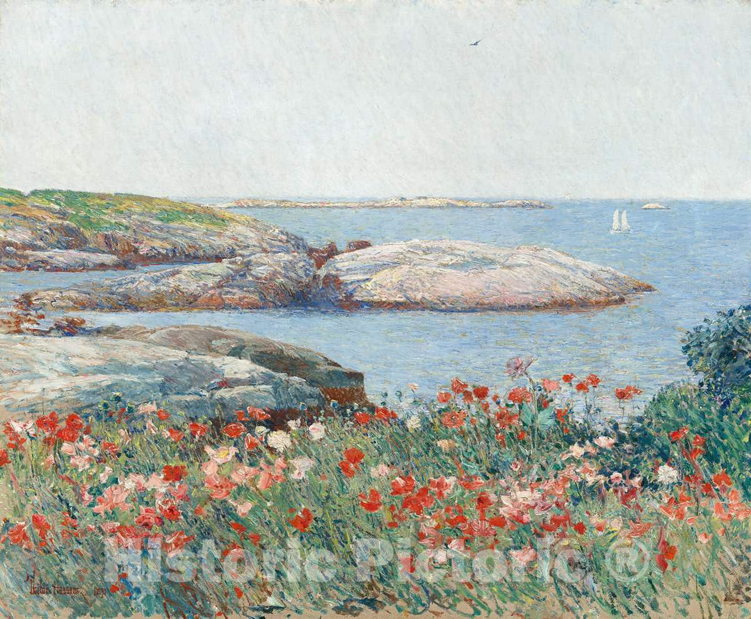 Art Print : Childe Hassam, Poppies, Isles of Shoals, 1891 - Vintage Wall Art