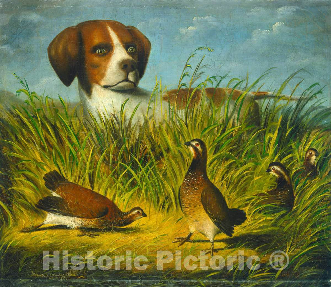 Art Print : D.G. Stouter, On Point, 1854 or After - Vintage Wall Art