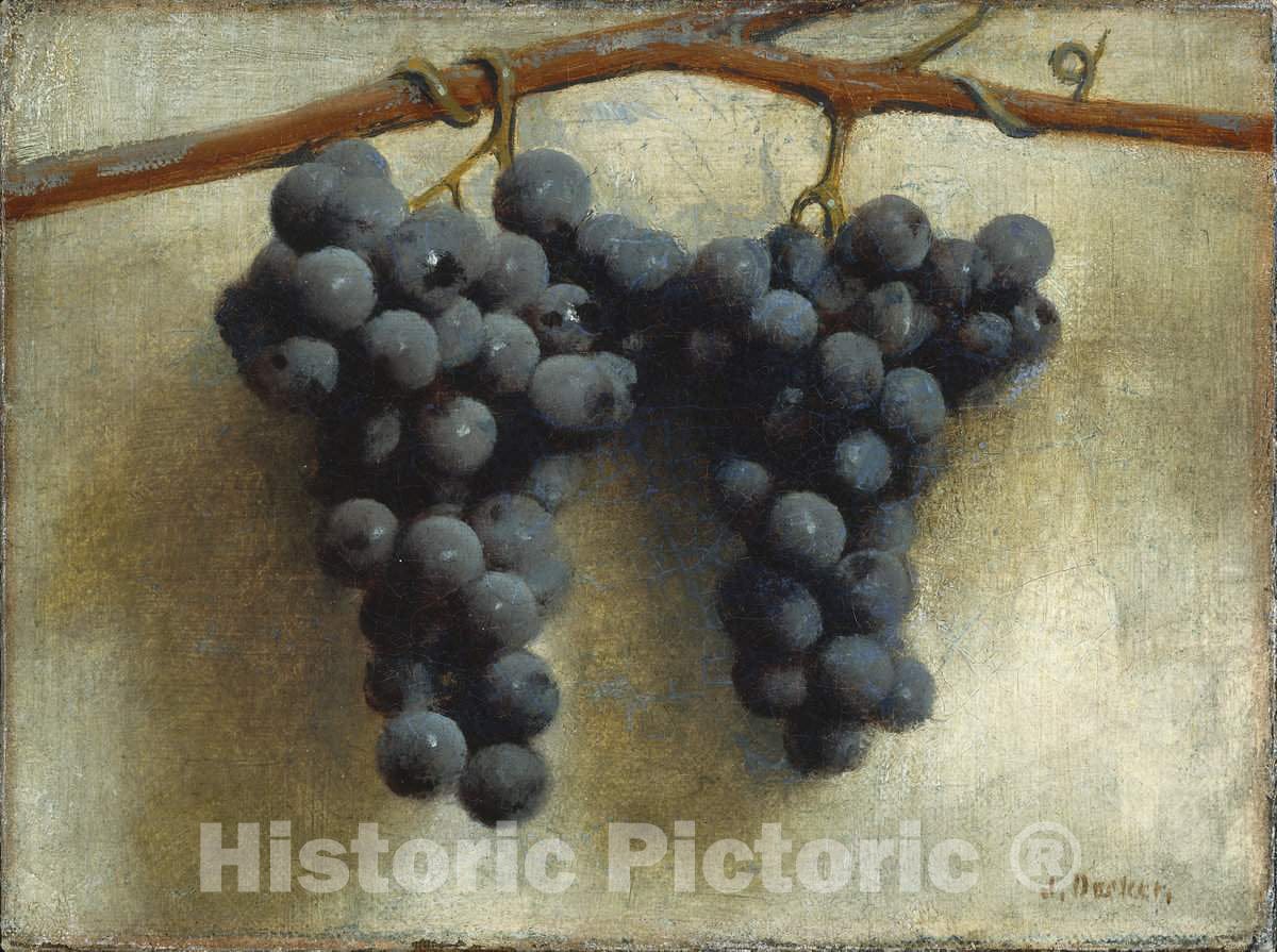 Art Print : Joseph Decker, Grapes, c.1893 - Vintage Wall Art