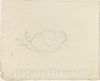 Art Print : John Flaxman, Snails [Recto and Verso] - Vintage Wall Art