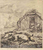 Art Print : Meryon After Karel Dujardin, Les Trois cochons couchÃ©s Devant l'Ã©table (Three Swine Lying in Front of a Sty), 1850 - Vintage Wall Art
