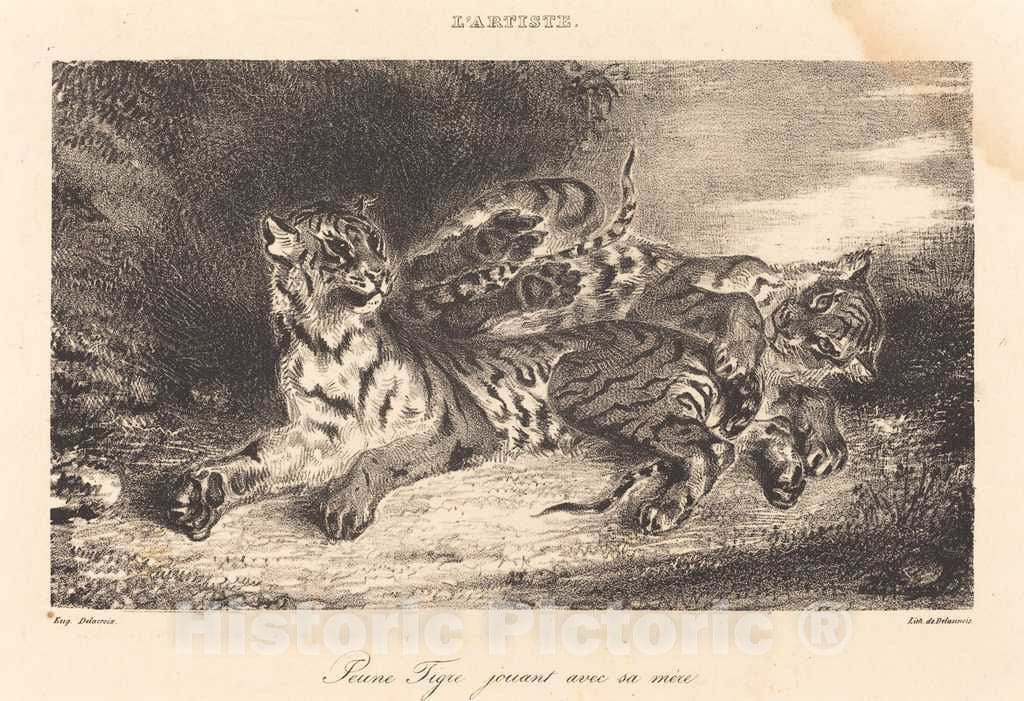 Art Print : EugÃ¨ne Delacroix, Young Tiger Playing with its Mother (Jeune Tigre jouant avec sa mÃ¨re), 1831 - Vintage Wall Art