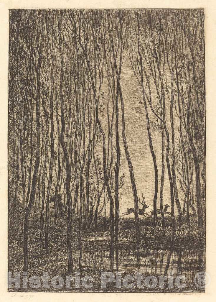 Art Print : Charles-FranÃ§ois Daubigny, Deer in The Woods (Les Cerfs Sous Bois), 1850 - Vintage Wall Art