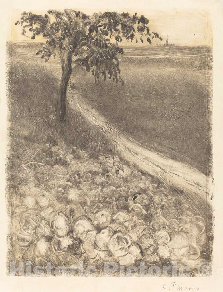 Art Print : Camille Pissarro, Road by a Field of Cabbages, c. 1880 - Vintage Wall Art