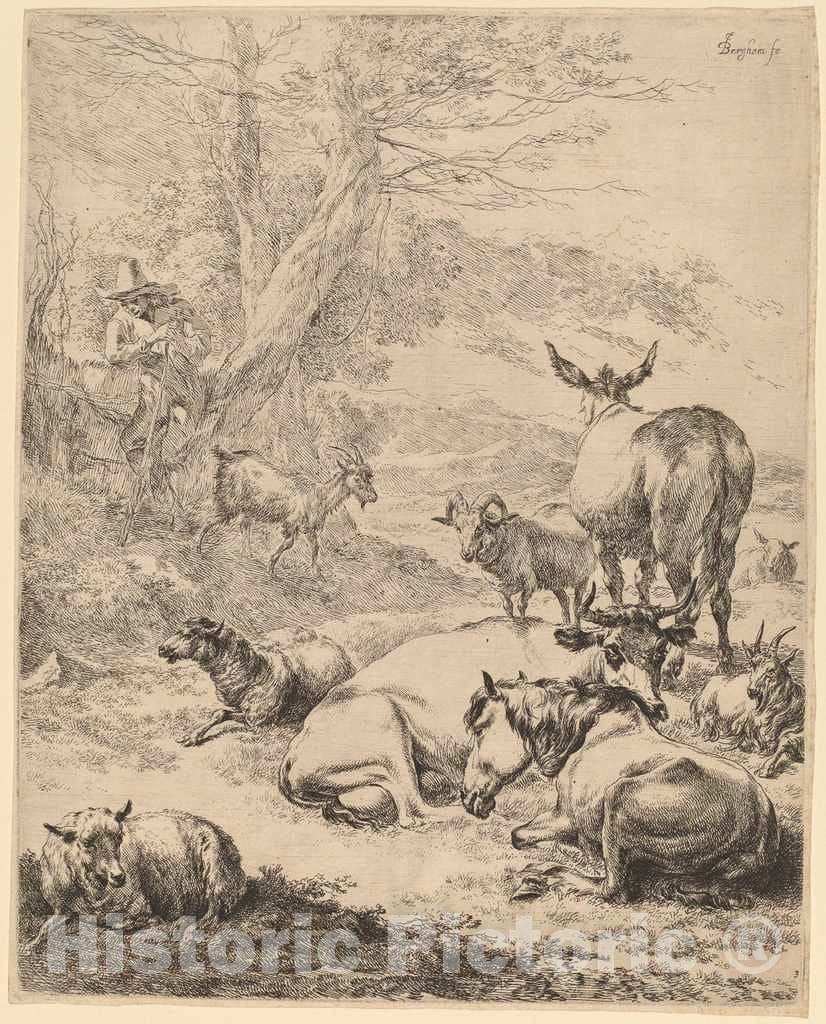 Art Print : Nicolaes Pietersz Berchem, Resting Herd - Vintage Wall Art