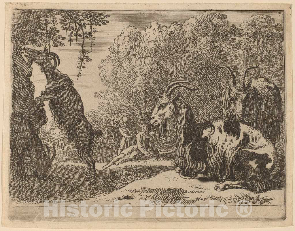 Art Print : Herman Van Swanevelt, Goats - Vintage Wall Art