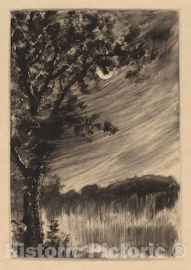 Art Print : William Fowler Hopson, Moonlit Landscape with Tree at The Left, c. 1903 - Vintage Wall Art
