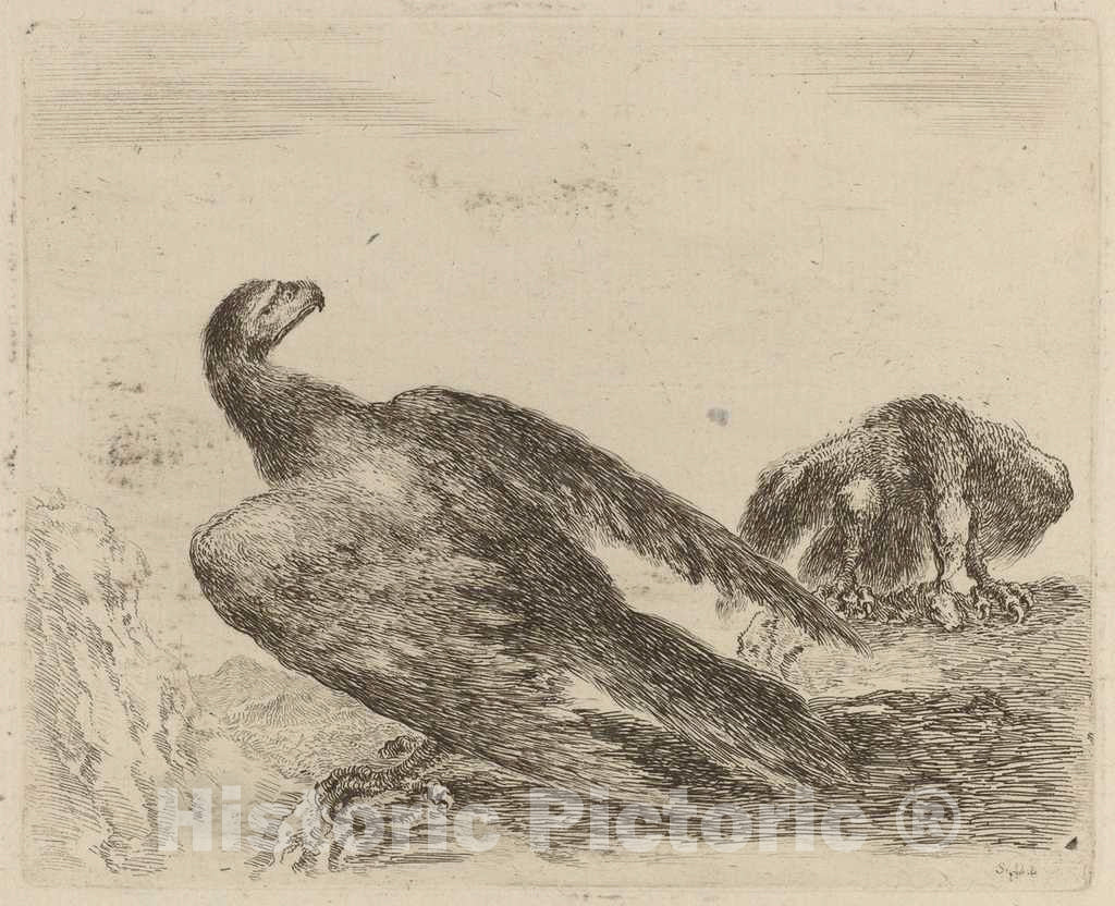 Art Print : Stefano Della Bella, Two Eagles on a Promitory - Vintage Wall Art
