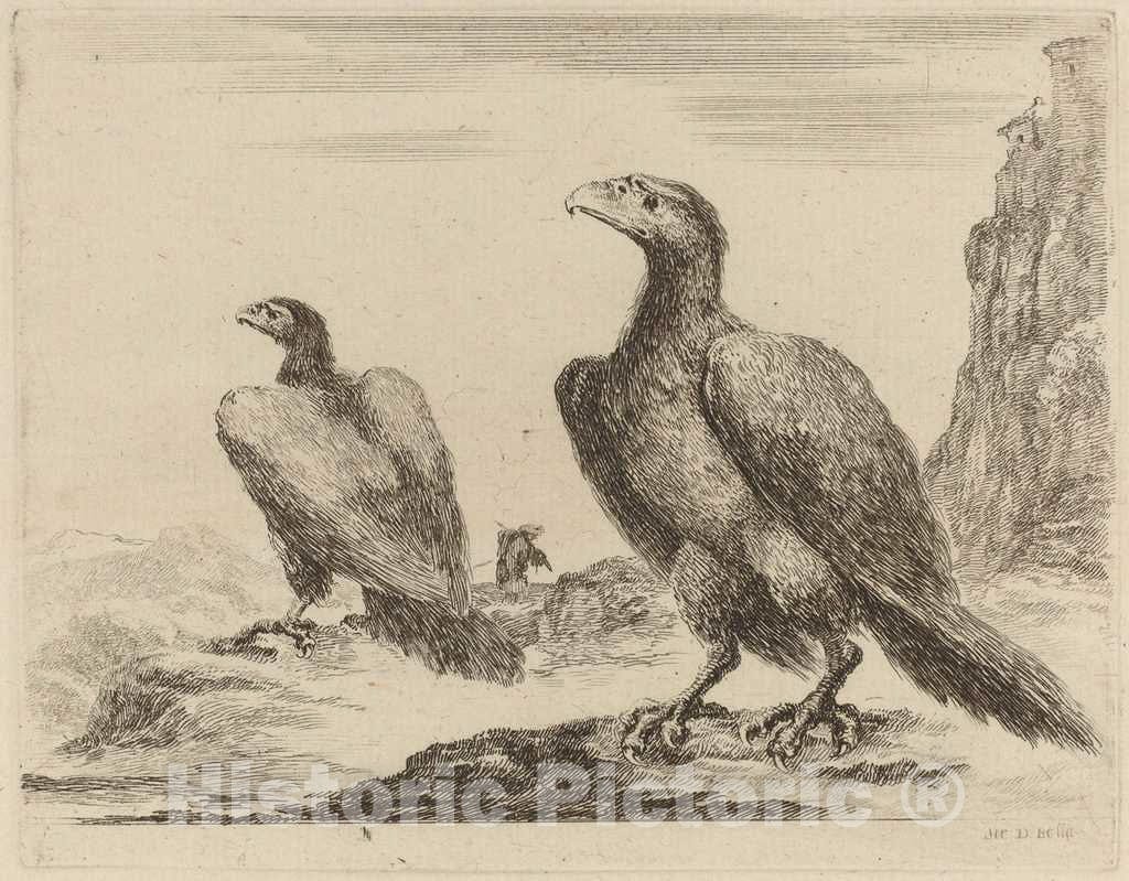 Art Print : Stefano Della Bella, Two Eagles, Both with Heads Turned to The Left, On a High Cliff - Vintage Wall Art