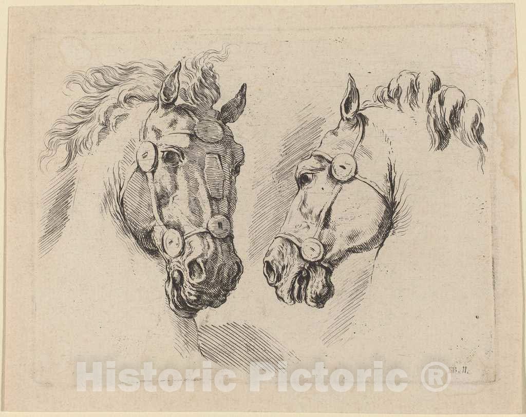 Art Print : Stefano Della Bella, Two Horse Heads, 1649 - Vintage Wall Art