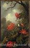Art Print : Martin Johnson Heade - Hummingbird and Passionflowers : Vintage Wall Art