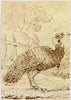 Art Print : Benjamin West - Turkey : Vintage Wall Art