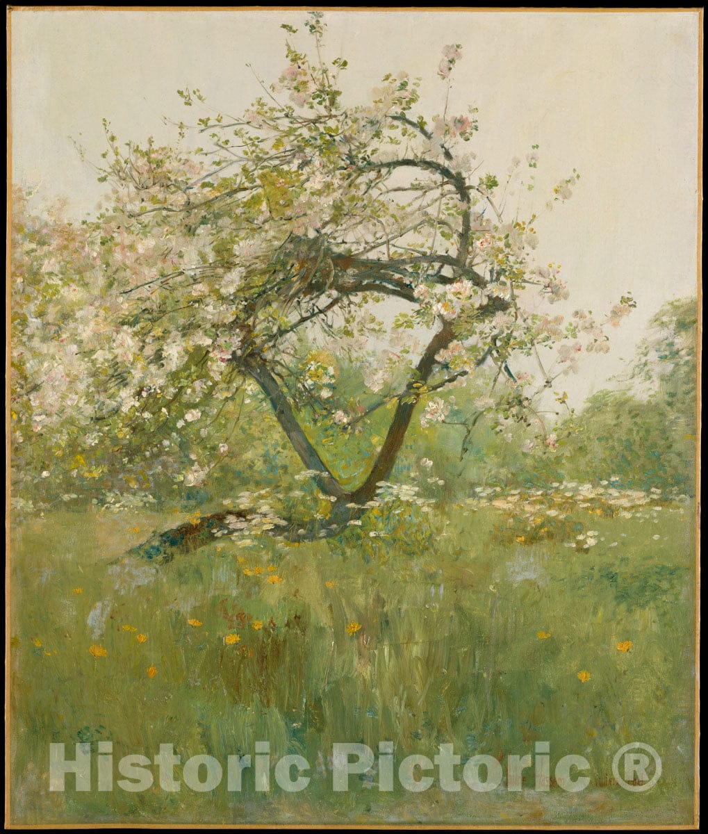 Art Print : Childe Hassam - Peach Blossoms—Villiers-le-Bel : Vintage Wall Art