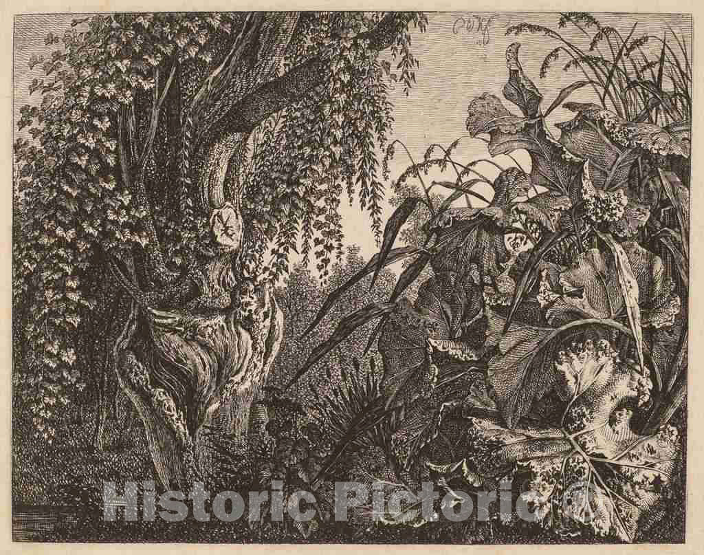 Art Print : Carl Wilhelm Kolbe, A Thicket; a Gnarled Willow Tree at Left, a Thicket of Vegetation at Right, c.1828 - Vintage Wall Art