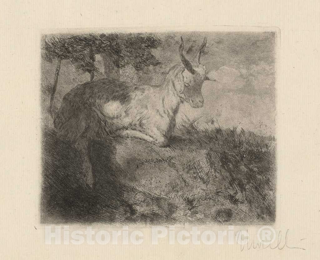 Art Print : Domenico Morelli, The Little Goat (La Capretta), c. 1879 - Vintage Wall Art