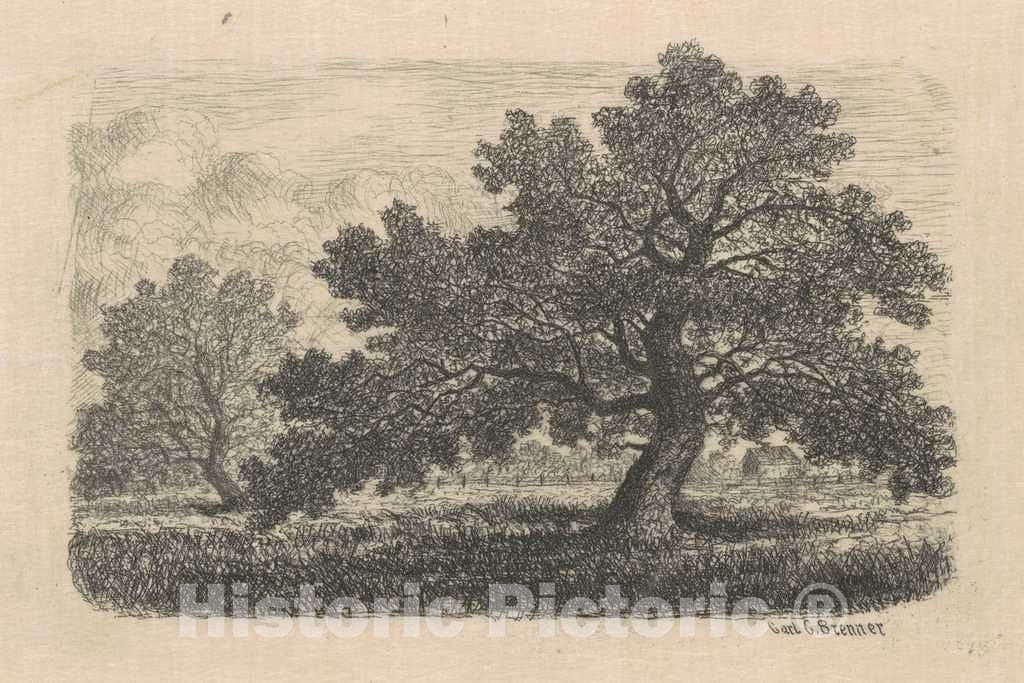 Art Print : Carl C. Brenner, Apple Trees, 1870s-1880s - Vintage Wall Art