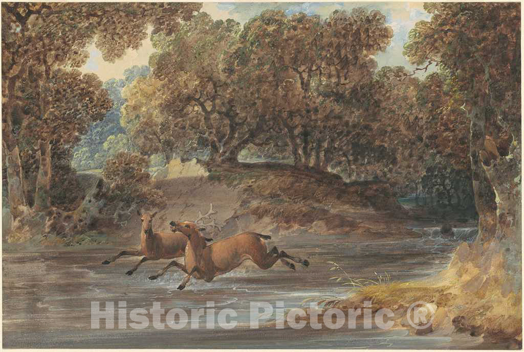 Art Print : Joshua Shaw, Landscape with Deer, North Carolina, c. 1820 - Vintage Wall Art