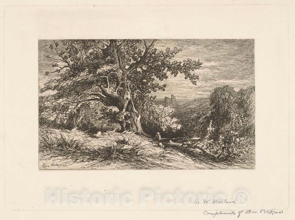 Art Print : Charles Volkmar, Landscape with Fallen Tree, 1875 - Vintage Wall Art