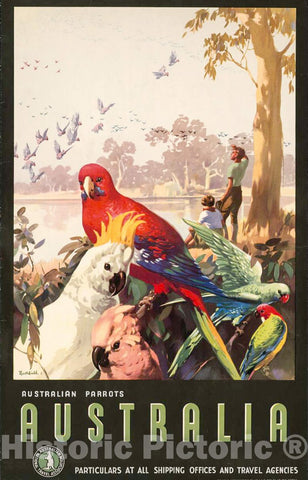 Vintage Poster -  Australian Parrots Australia, particulars at All Shipping Offices and Travel Agencies -  Northfield., Historic Wall Art