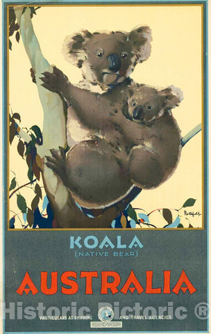 Vintage Poster -  Koala (Native Bear) Australia, particulars at Shipping and Travel Agencies -  Northfield., Historic Wall Art